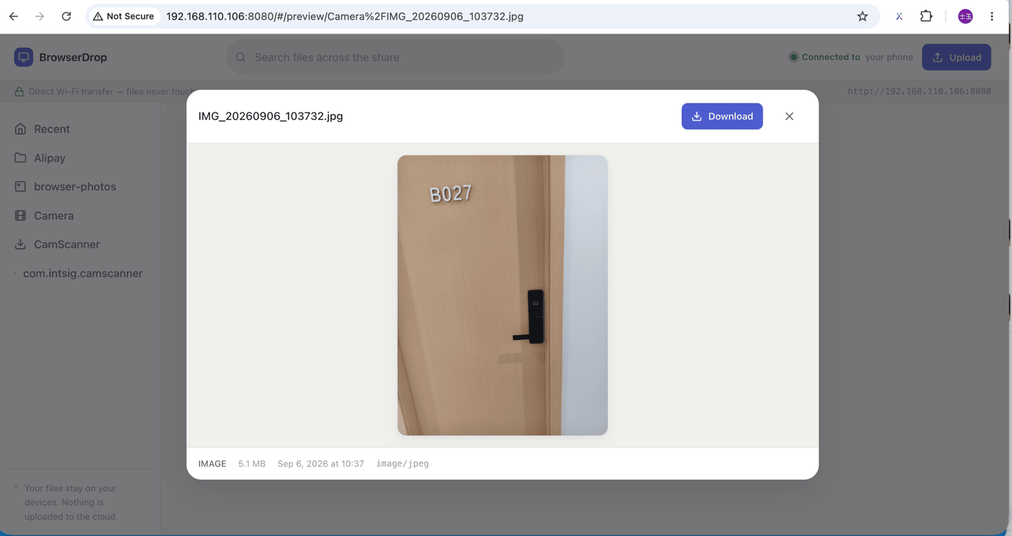 Photo preview overlay in the browser with file name, size and Download button